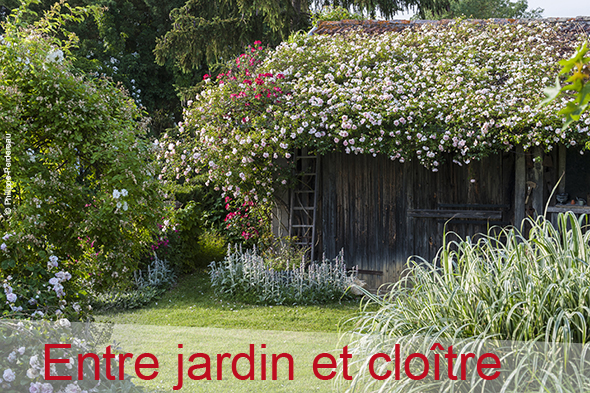 ©-Philippe-Perdereau---Jardin-entelouetnewsletter