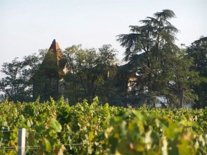 fronton vin toulouse visite vignoble sud ouest france les voyages duclos 01